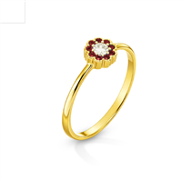Ring Woman in Gold Zircone A892R10 AN